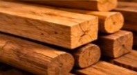 Stacked seasoned teak wood logs